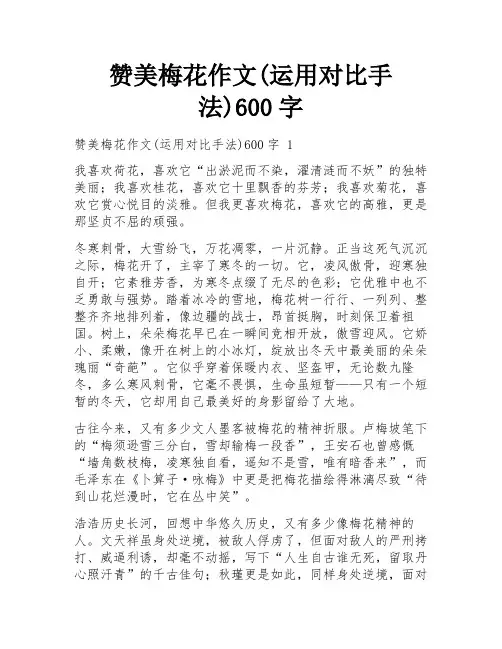 赞美梅花作文(运用对比手法)600字