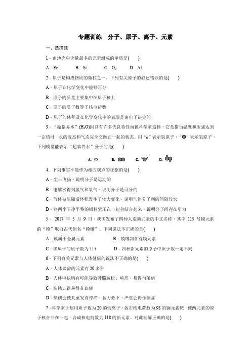 人教版九年级化学上册第三单元 专题训练 分子、原子、离子、元素