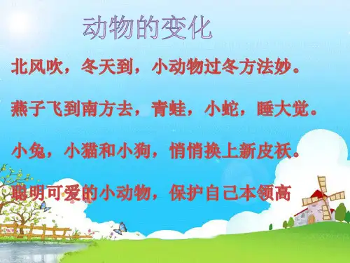 《健康过冬天》部编教材课件1
