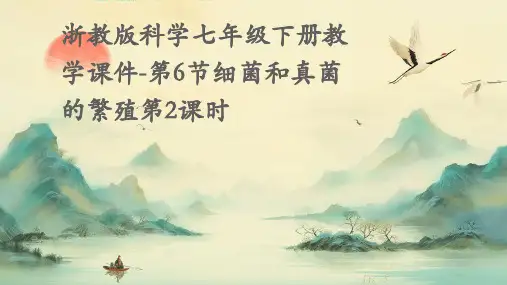 浙教版科学七年级下册教学课件-第6节细菌和真菌的繁殖第2课时