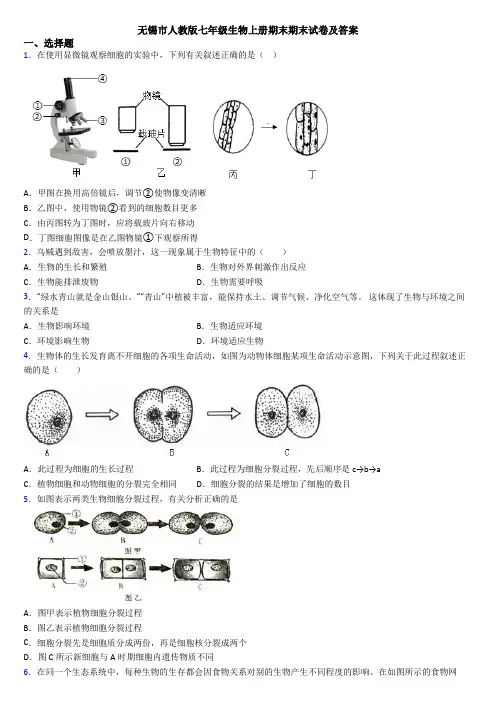 无锡市人教版七年级生物上册期末期末试卷及答案