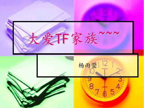 TF家族幻灯片(1)