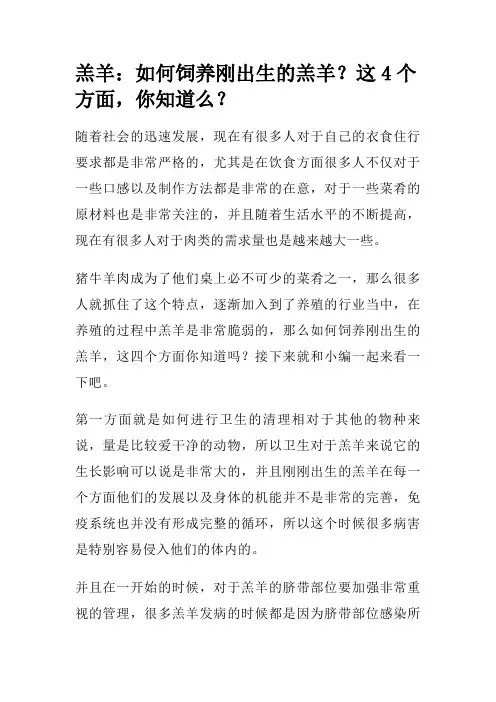 羔羊：如何饲养刚出生的羔羊？这4个方面,你知道么？