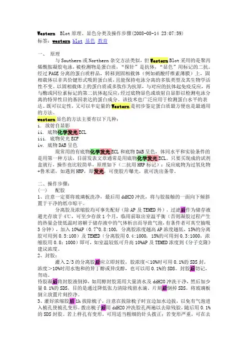 Western Blot原理、显色分类及操作步骤