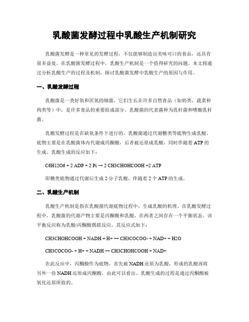 乳酸菌发酵过程中乳酸生产机制研究