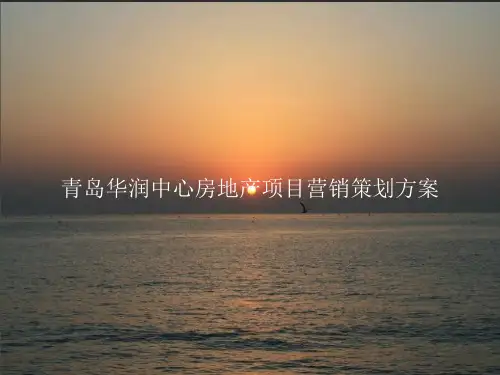 华润中心房地产项目营销策划方案