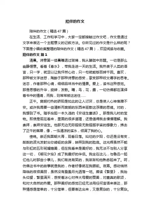陪伴的作文