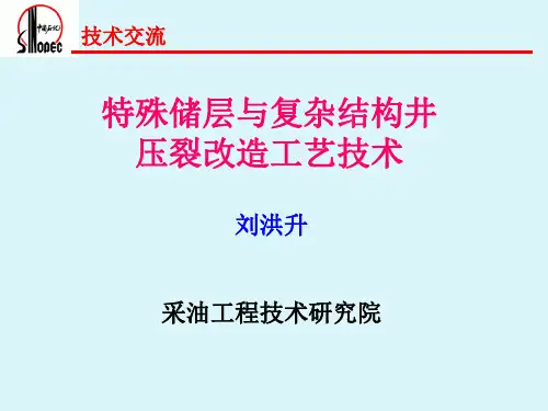 特殊储层压裂技术 - 副本