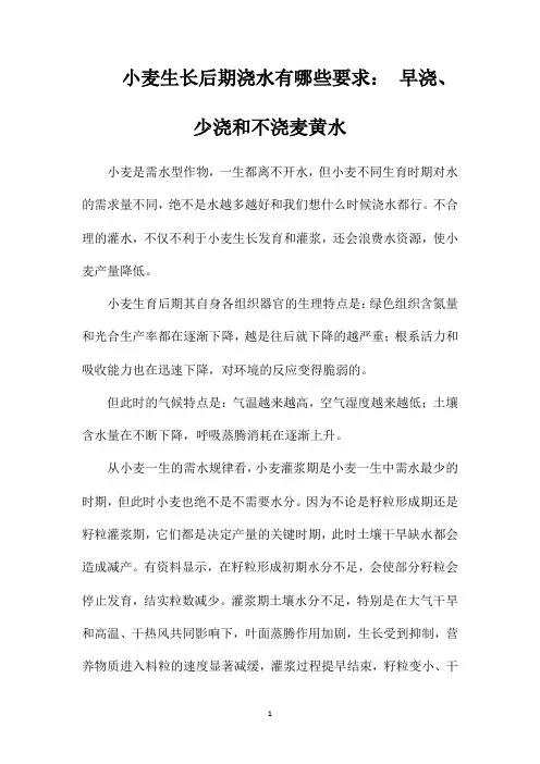 小麦生长后期浇水有哪些要求：早浇、少浇和不浇麦黄水