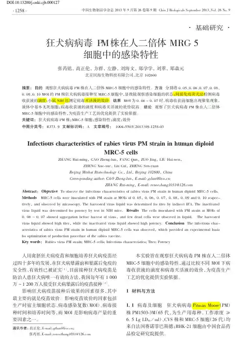 狂犬病病毒PM株在人二倍体MRC_5细胞中的感染特性_张芮铭.caj