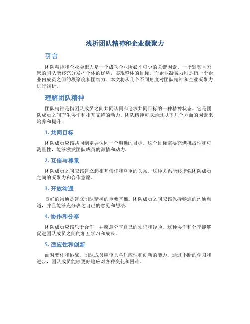 浅析团队精神和企业凝聚力