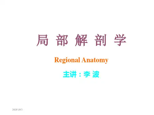 局部解剖学-01.绪论和脊柱区.ppt