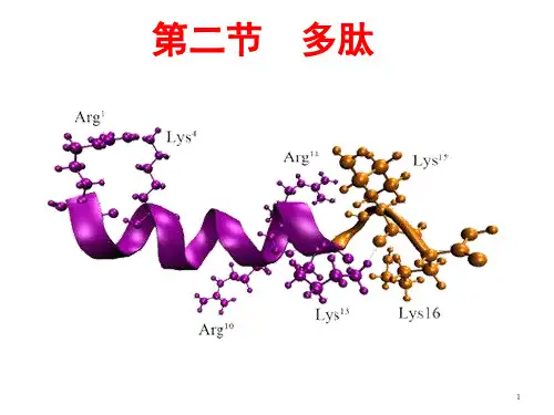 化生导论第一章 蛋白质2