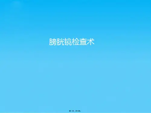 膀胱镜检查术(共12张PPT)