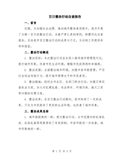 百日整治行动自查报告