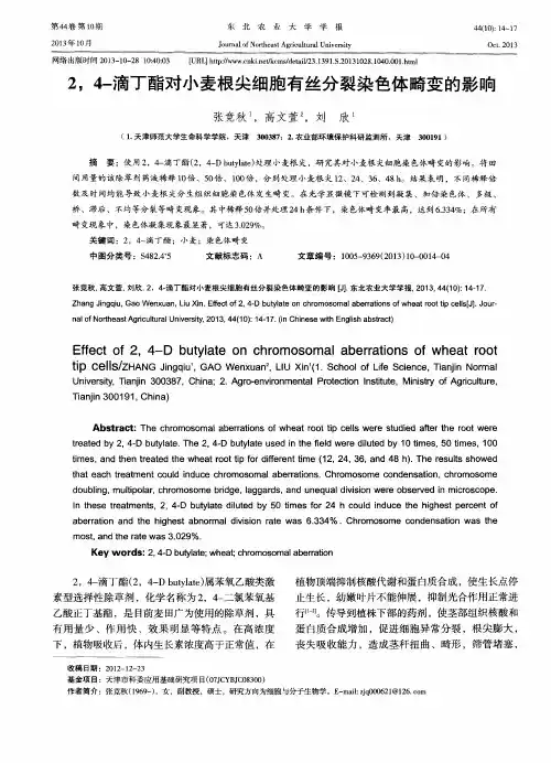 2,4-滴丁酯对小麦根尖细胞有丝分裂染色体畸变的影响