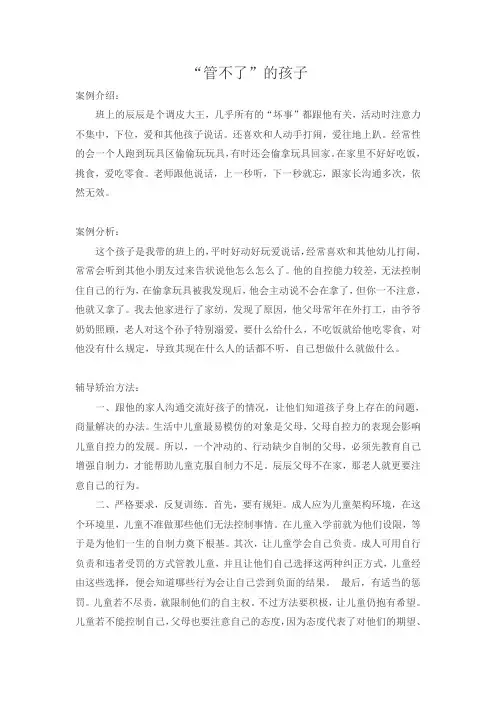 个案研究报告