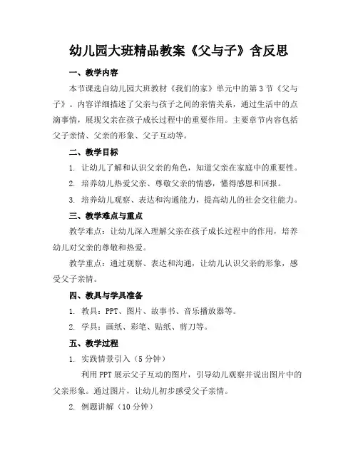 幼儿园大班精品教案《父与子》含反思