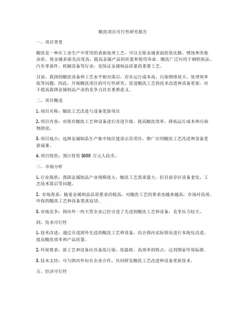 酸洗项目可行性研究报告