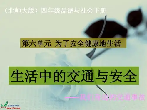 北师大版思想与社会四下《生活中的交通与安全》(我们身边的交通事故)PPT课件