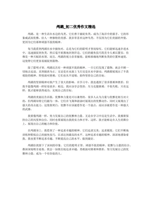 鸬鹚_初二优秀作文精选