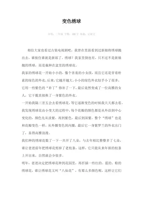 变色绣球450字作文