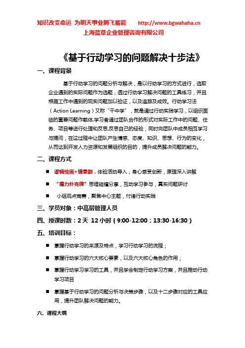 《行动学习--解决问题十步法》