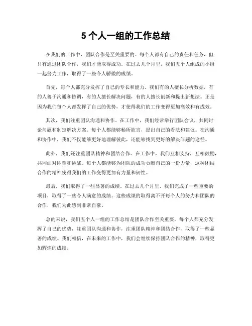 5个人一组的工作总结