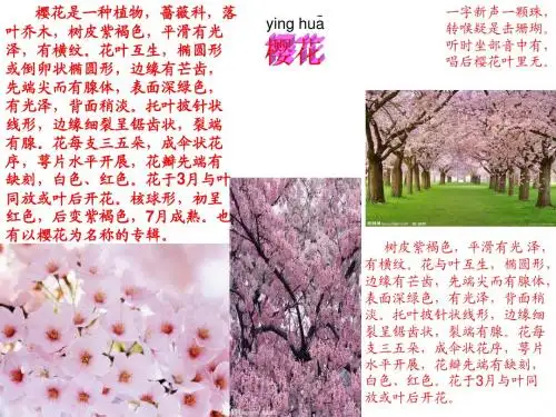 植物名片