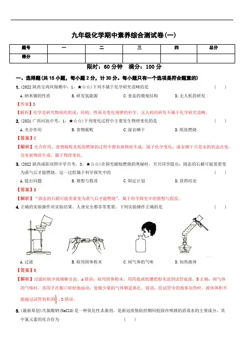 九年级化学期中素养综合测试卷(一)(解析版)
