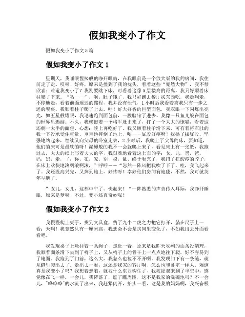 假如我变小了作文