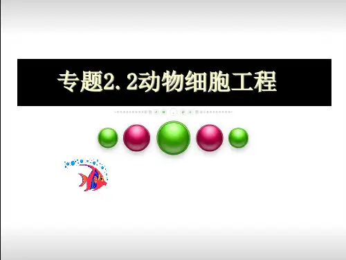 动物细胞工程ppt-精品课件