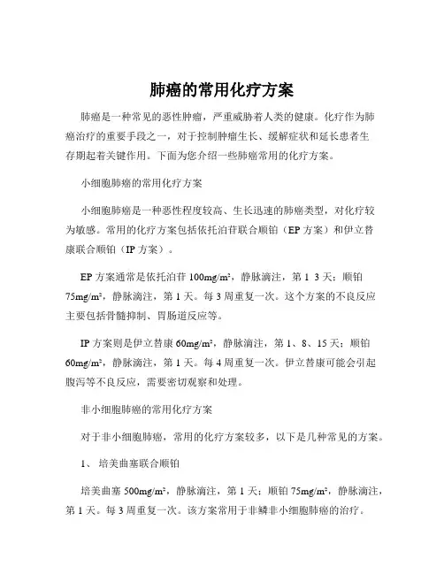 肺癌的常用化疗方案