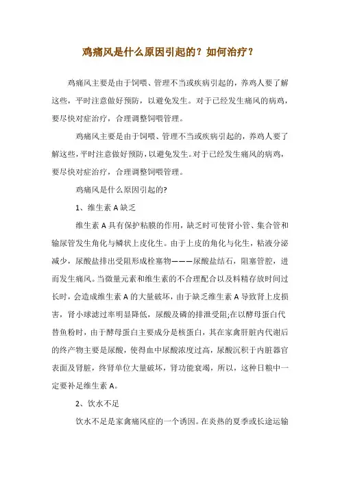 鸡痛风是什么原因引起的？如何治疗？