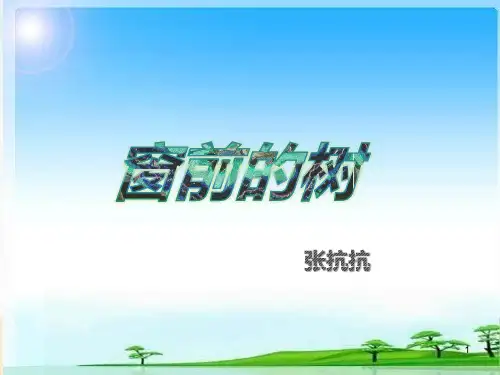 窗前的树PPT课件