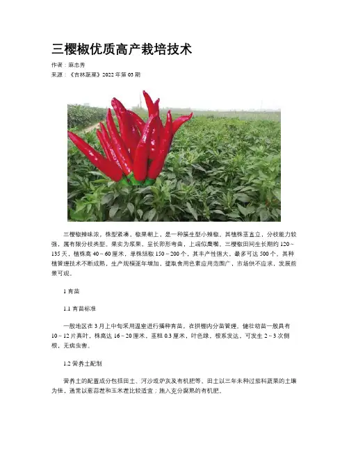 三樱椒优质高产栽培技术