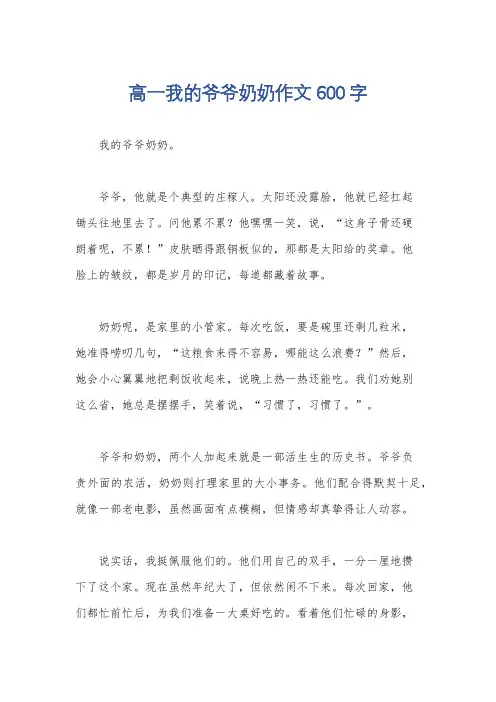 高一我的爷爷奶奶作文600字
