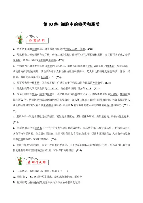 第03练 细胞中的糖类和脂质-【暑假分层作业】高二生物(一轮复习)(解析版)