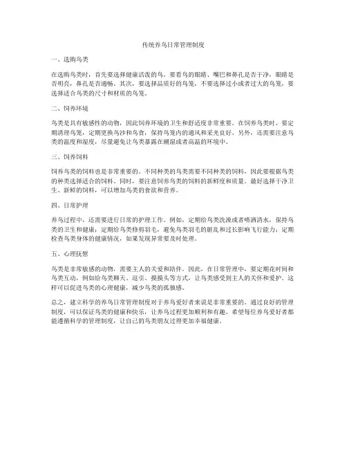 传统养鸟日常管理制度