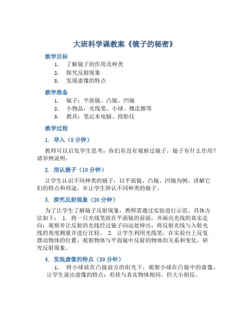 大班科学课教案《镜子的秘密》