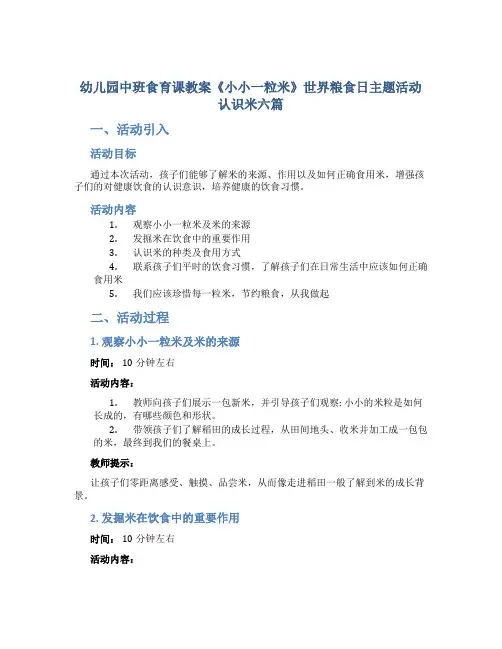 幼儿园中班食育课教案《小小一粒米》世界粮食日主题活动认识米六篇