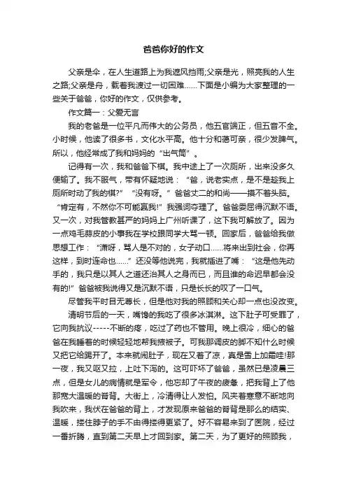 爸爸你好的作文