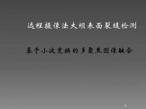 基于小波变换的多聚焦图像融合ppt课件