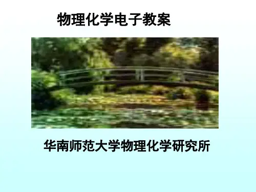 04 多组分系统热力学-2(3学时2010材料)