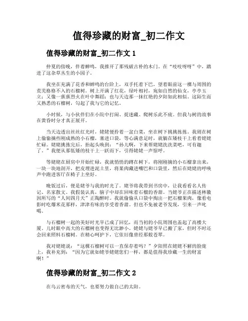 值得珍藏的财富初二作文