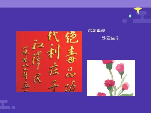主题班会《远离毒品-珍爱生命》PPT课件