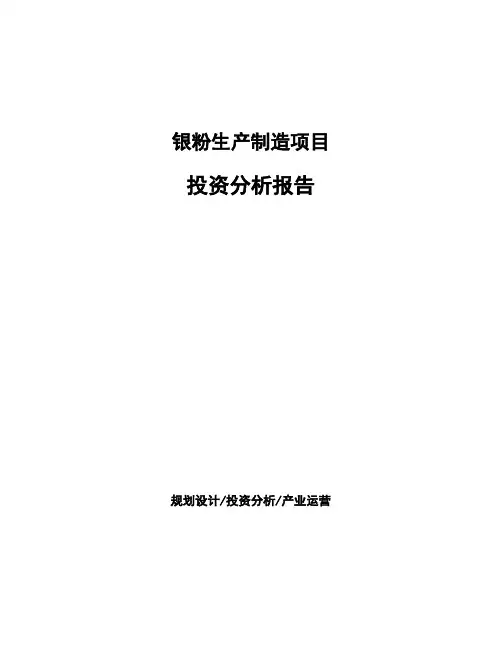银粉生产制造项目投资分析报告