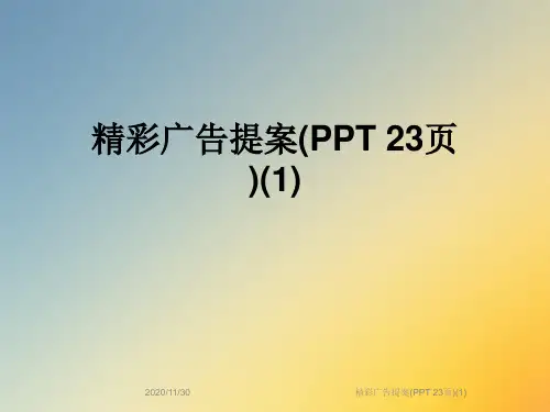 精彩广告提案(PPT 23页)(1)