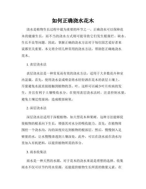 如何正确浇水花木