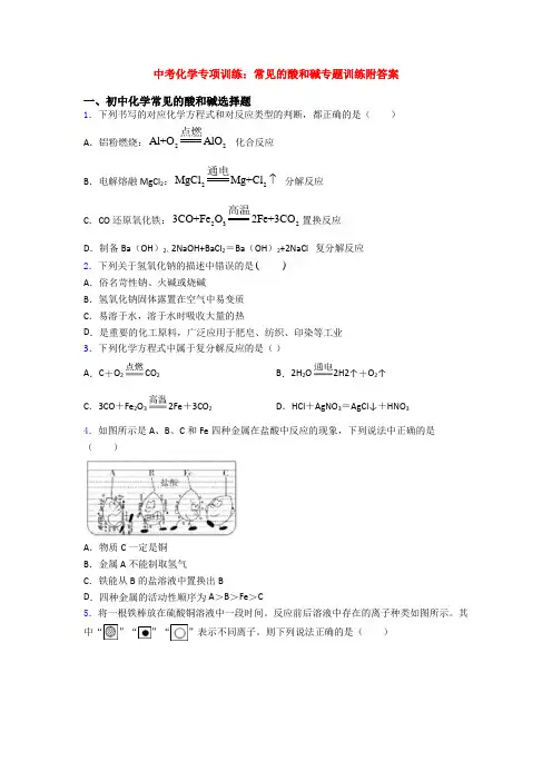 中考化学专项训练：常见的酸和碱专题训练附答案